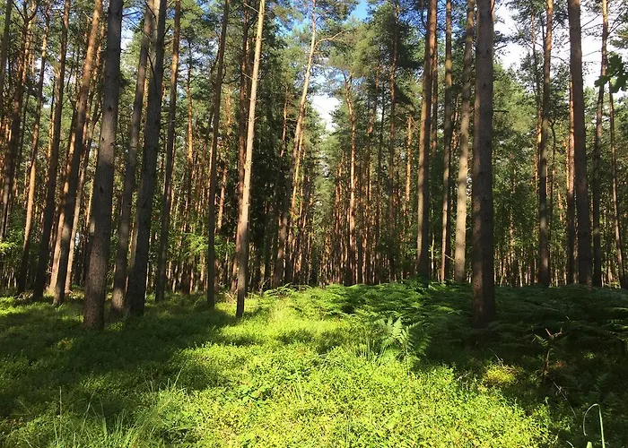 Ferienwohnung Am Haff